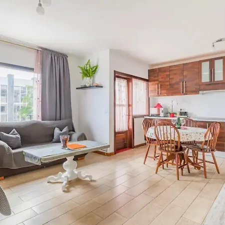 Apartment 20